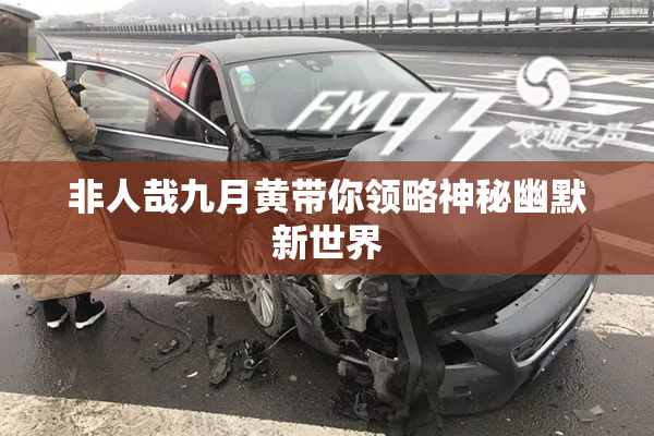 非人哉九月黄带你领略神秘幽默新世界