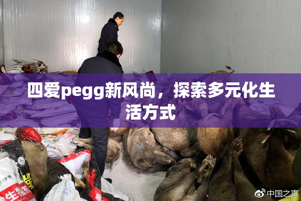 四爱pegg新风尚，探索多元化生活方式