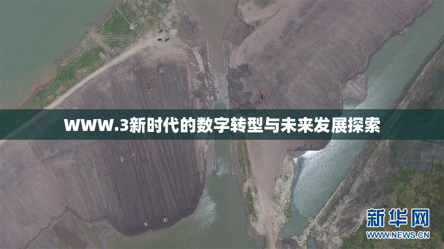 WWW.3新时代的数字转型与未来发展探索