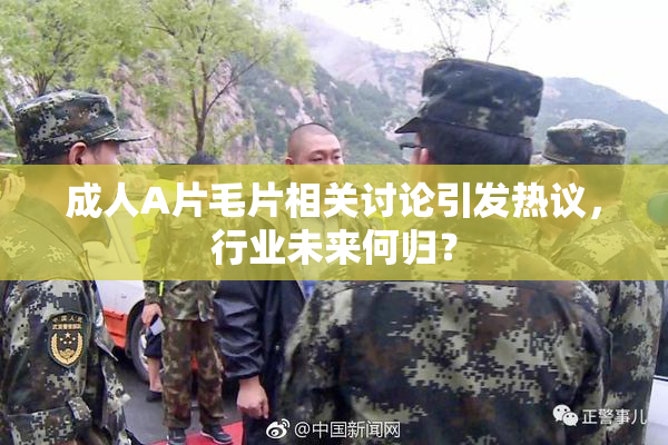 成人A片毛片相关讨论引发热议，行业未来何归？