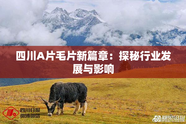 四川A片毛片新篇章：探秘行业发展与影响