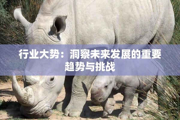 行业大势：洞察未来发展的重要趋势与挑战