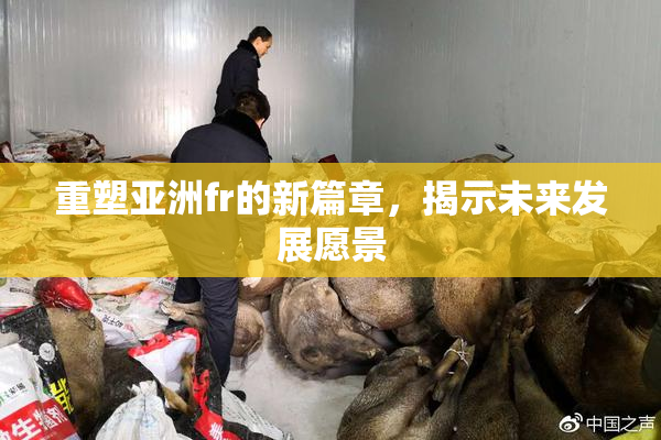 重塑亚洲fr的新篇章，揭示未来发展愿景