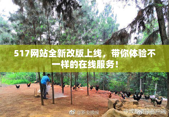 517网站全新改版上线，带你体验不一样的在线服务！