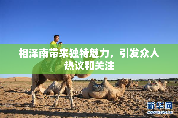 相泽南带来独特魅力，引发众人热议和关注