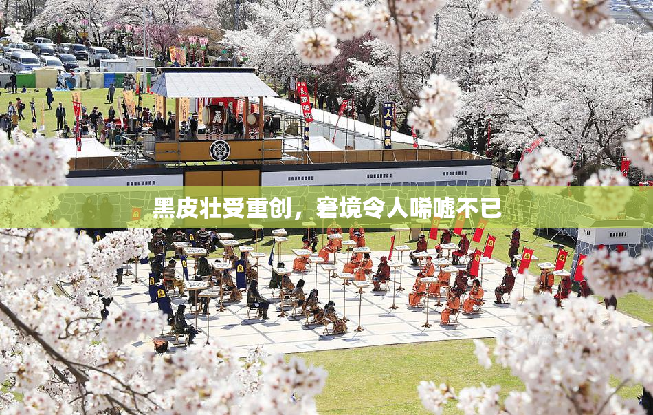 黑皮壮受重创，窘境令人唏嘘不已