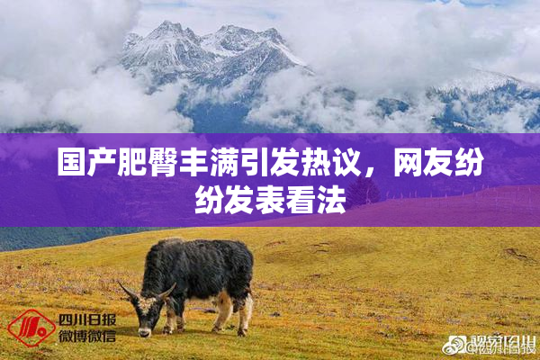 国产肥臀丰满引发热议，网友纷纷发表看法