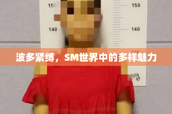 波多紧缚，SM世界中的多样魅力