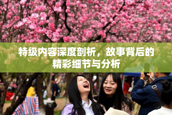 特级内容深度剖析，故事背后的精彩细节与分析