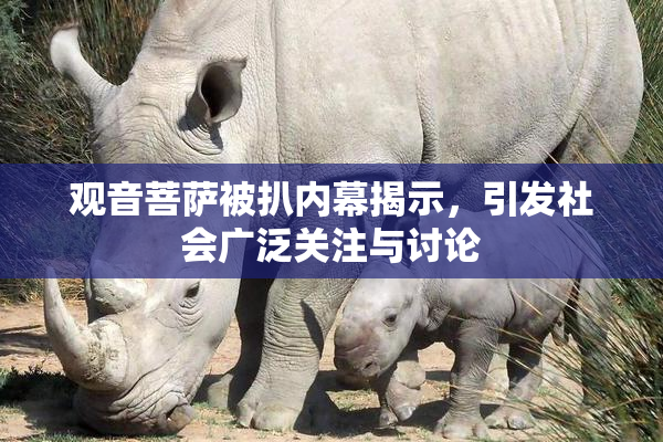 观音菩萨被扒内幕揭示，引发社会广泛关注与讨论
