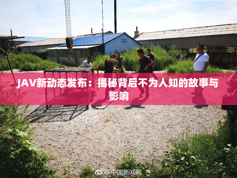 JAV新动态发布：揭秘背后不为人知的故事与影响