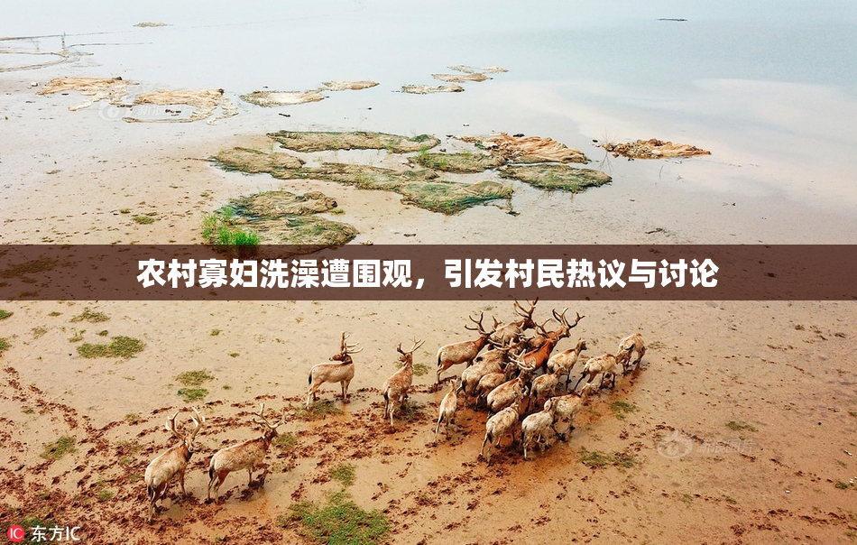 农村寡妇洗澡遭围观，引发村民热议与讨论