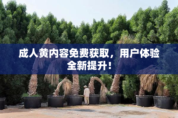 成人黄内容免费获取，用户体验全新提升！