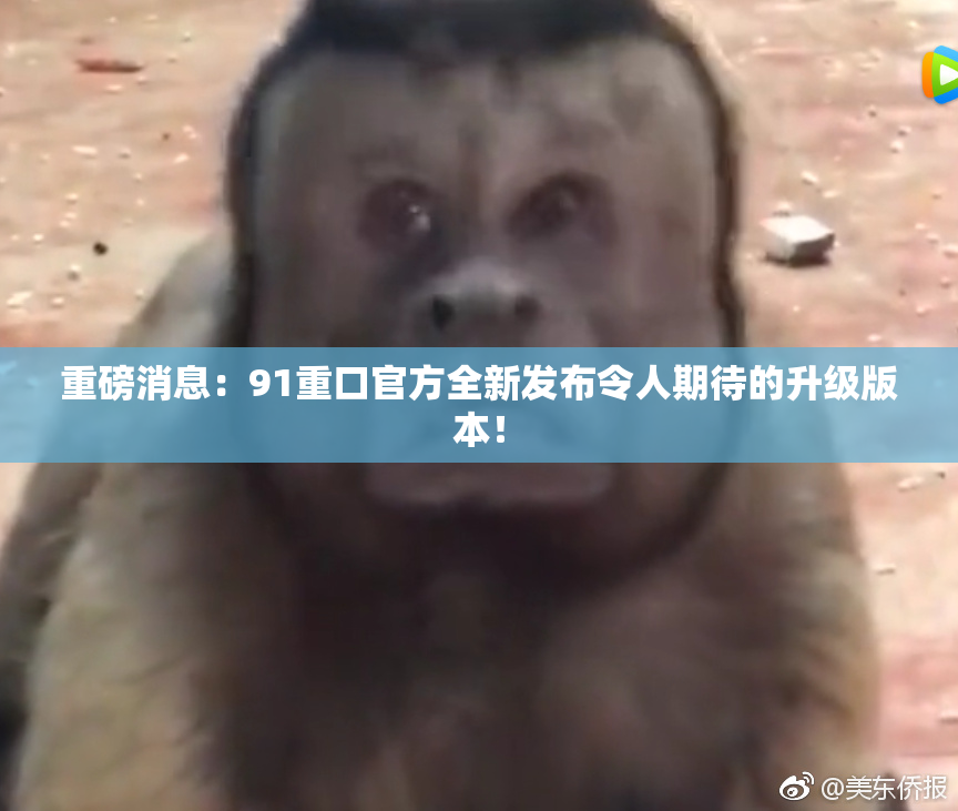重磅消息：91重口官方全新发布令人期待的升级版本！