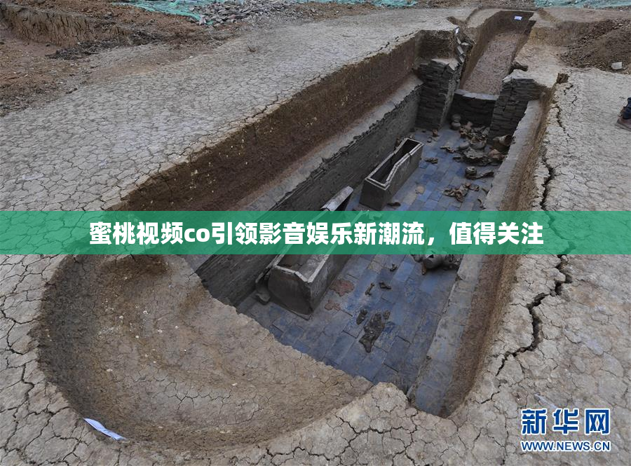 蜜桃视频co引领影音娱乐新潮流，值得关注