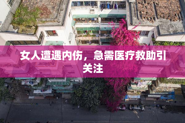 女人遭遇内伤，急需医疗救助引关注