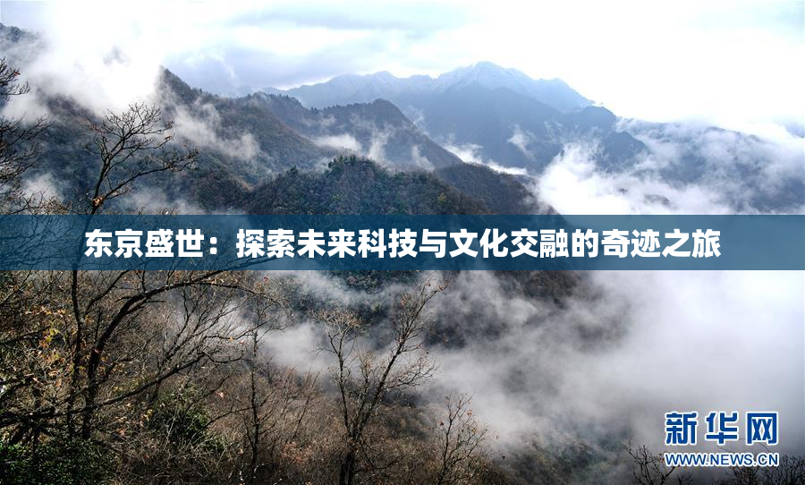东京盛世：探索未来科技与文化交融的奇迹之旅