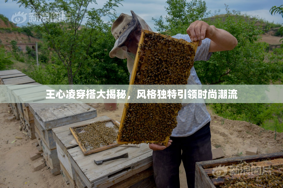 王心凌穿搭大揭秘，风格独特引领时尚潮流