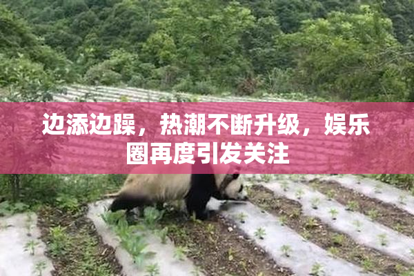边添边躁，热潮不断升级，娱乐圈再度引发关注