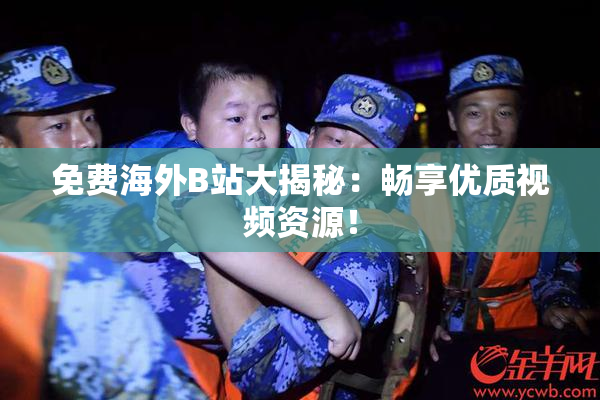 免费海外B站大揭秘：畅享优质视频资源！