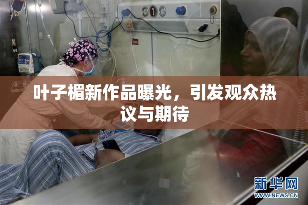 叶子楣新作品曝光，引发观众热议与期待