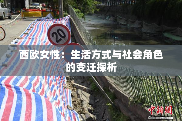 西欧女性：生活方式与社会角色的变迁探析