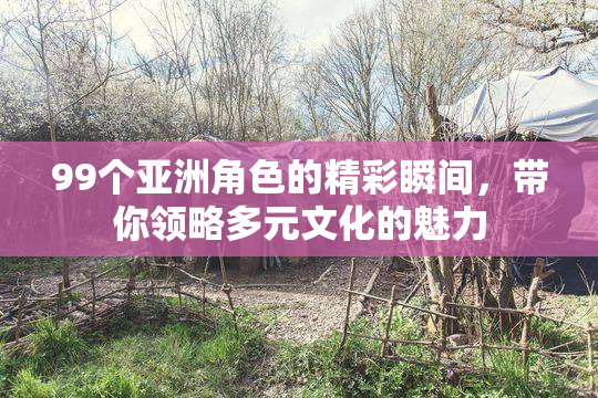 99个亚洲角色的精彩瞬间，带你领略多元文化的魅力
