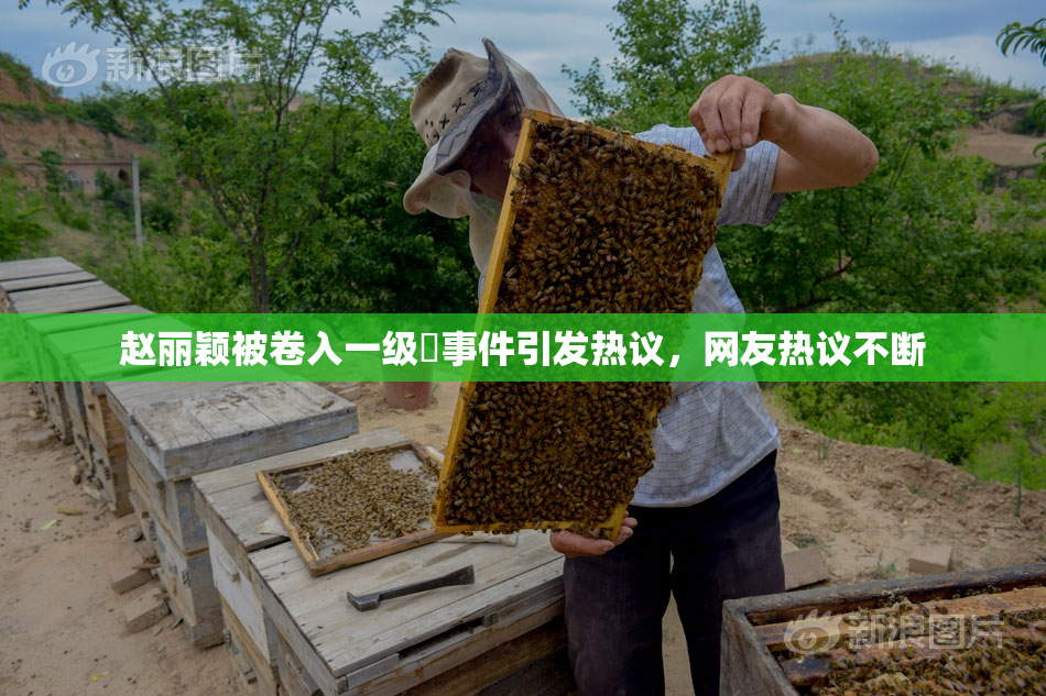 赵丽颖被卷入一级婬事件引发热议，网友热议不断