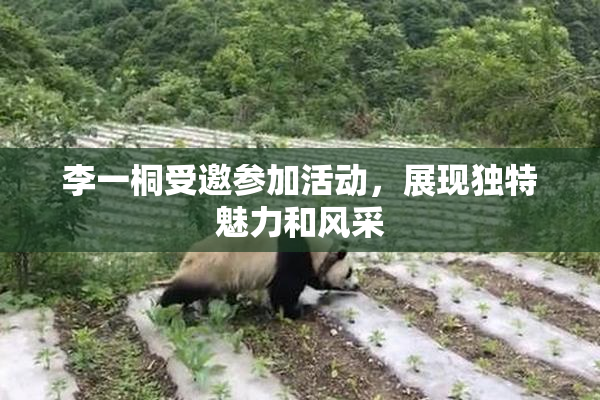 李一桐受邀参加活动，展现独特魅力和风采