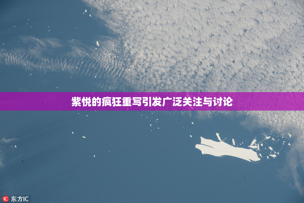 紫悦的疯狂重写引发广泛关注与讨论