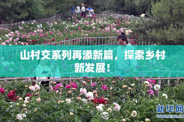 山村交系列再添新篇，探索乡村新发展！