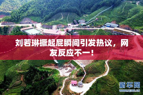 刘若琳撅起屁瞬间引发热议，网友反应不一！