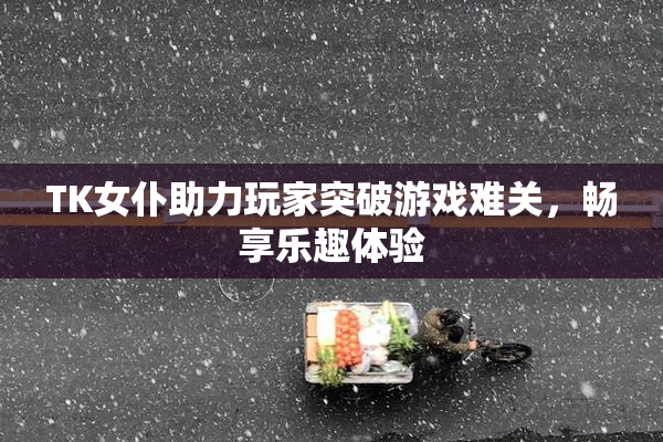 TK女仆助力玩家突破游戏难关，畅享乐趣体验