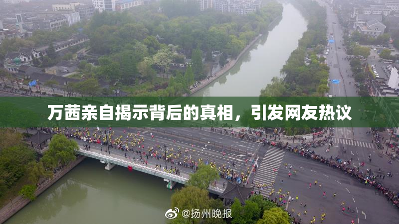 万茜亲自揭示背后的真相，引发网友热议