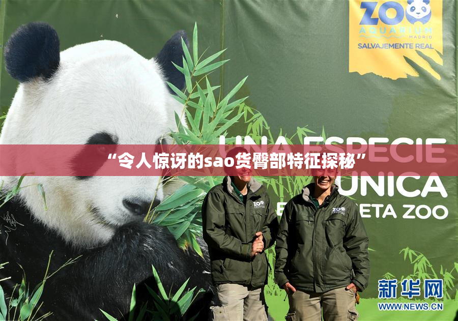 “令人惊讶的sao货臀部特征探秘”