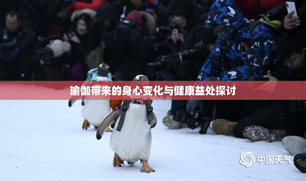 瑜伽带来的身心变化与健康益处探讨