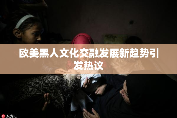 欧美黑人文化交融发展新趋势引发热议