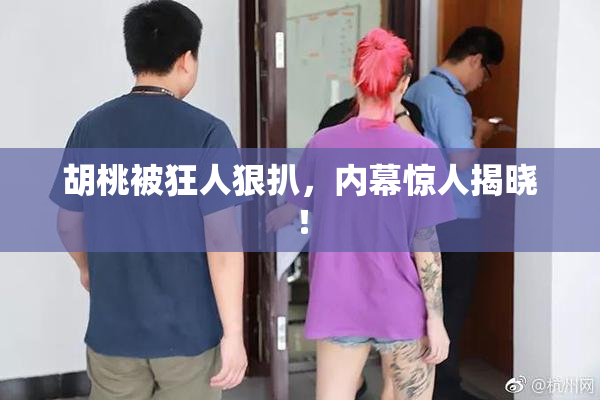 胡桃被狂人狠扒，内幕惊人揭晓！