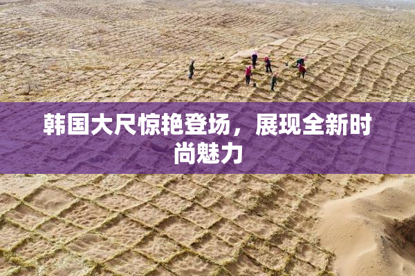 韩国大尺惊艳登场，展现全新时尚魅力