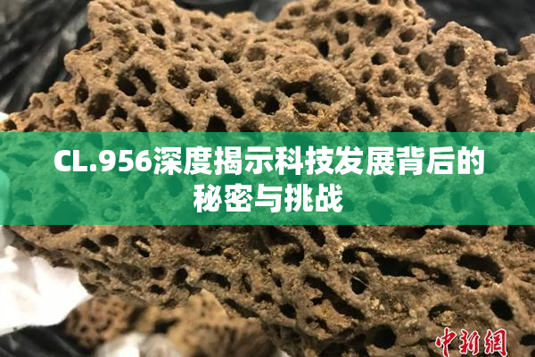 CL.956深度揭示科技发展背后的秘密与挑战