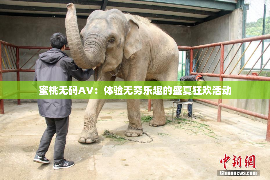 蜜桃无码AV：体验无穷乐趣的盛夏狂欢活动