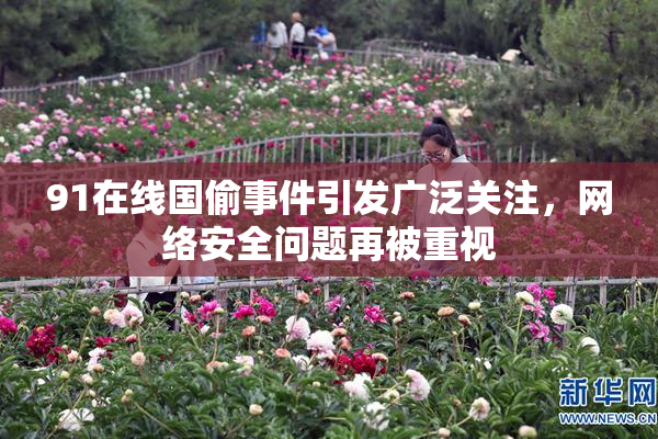 91在线国偷事件引发广泛关注，网络安全问题再被重视