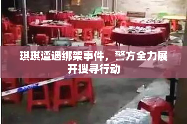 琪琪遭遇绑架事件，警方全力展开搜寻行动