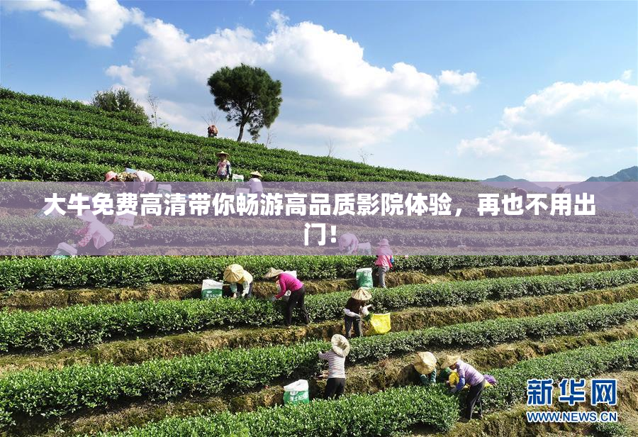 大牛免费高清带你畅游高品质影院体验，再也不用出门！