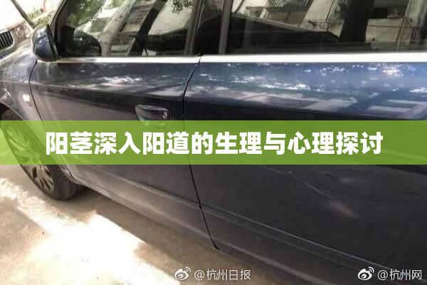 阳茎深入阳道的生理与心理探讨