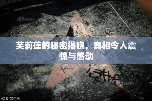 芙莉莲的秘密揭晓，真相令人震惊与感动