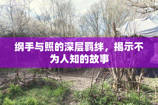 纲手与照的深层羁绊，揭示不为人知的故事