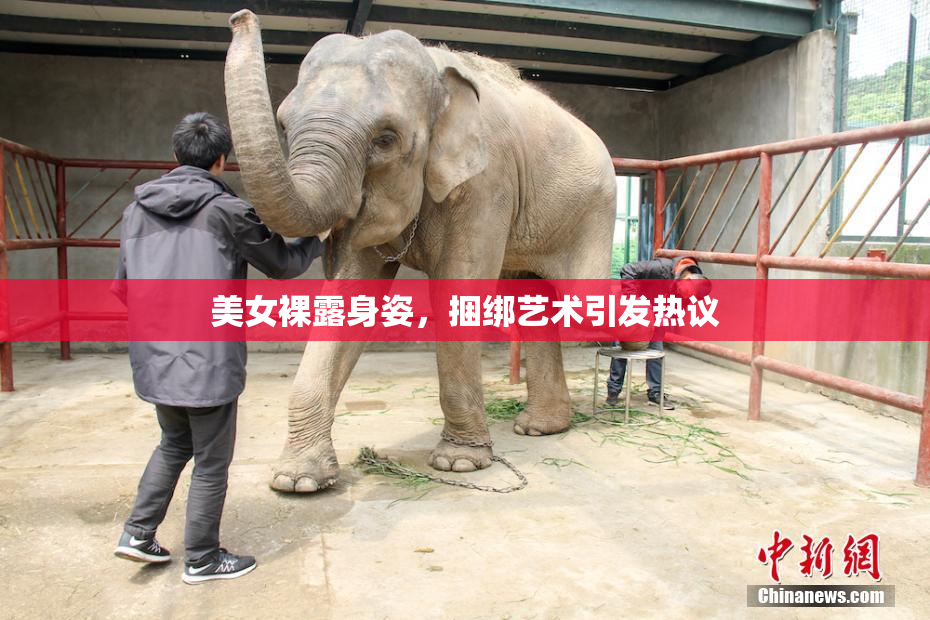 美女裸露身姿，捆绑艺术引发热议