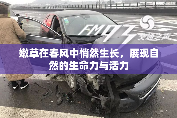 嫩草在春风中悄然生长，展现自然的生命力与活力