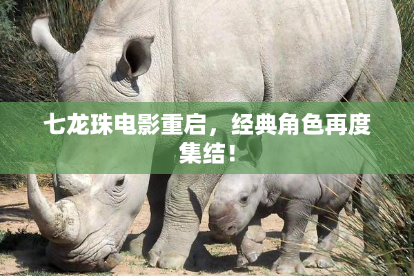七龙珠电影重启，经典角色再度集结！